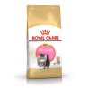 ROYAL CANIN Persian Kitten 4 KG
