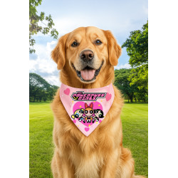 Bandana Chicas Super Poderosas